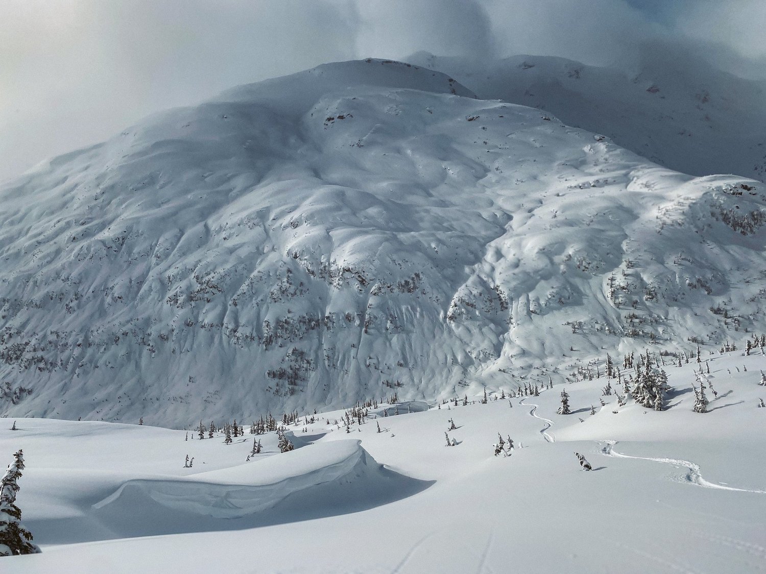 Ken Bibby, ACMG Ski Guide & Ops Manager's experience